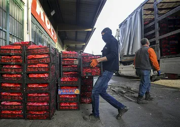 Market ve hallerde ürün tedarikine başlandı