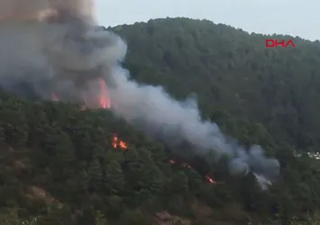 Son dakika: Beykoz'da ormanlık alanda yangın!