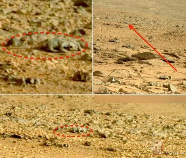 NASA aracının yakınında bulundu! Mars'ta dehşete düşüren keşif... 22