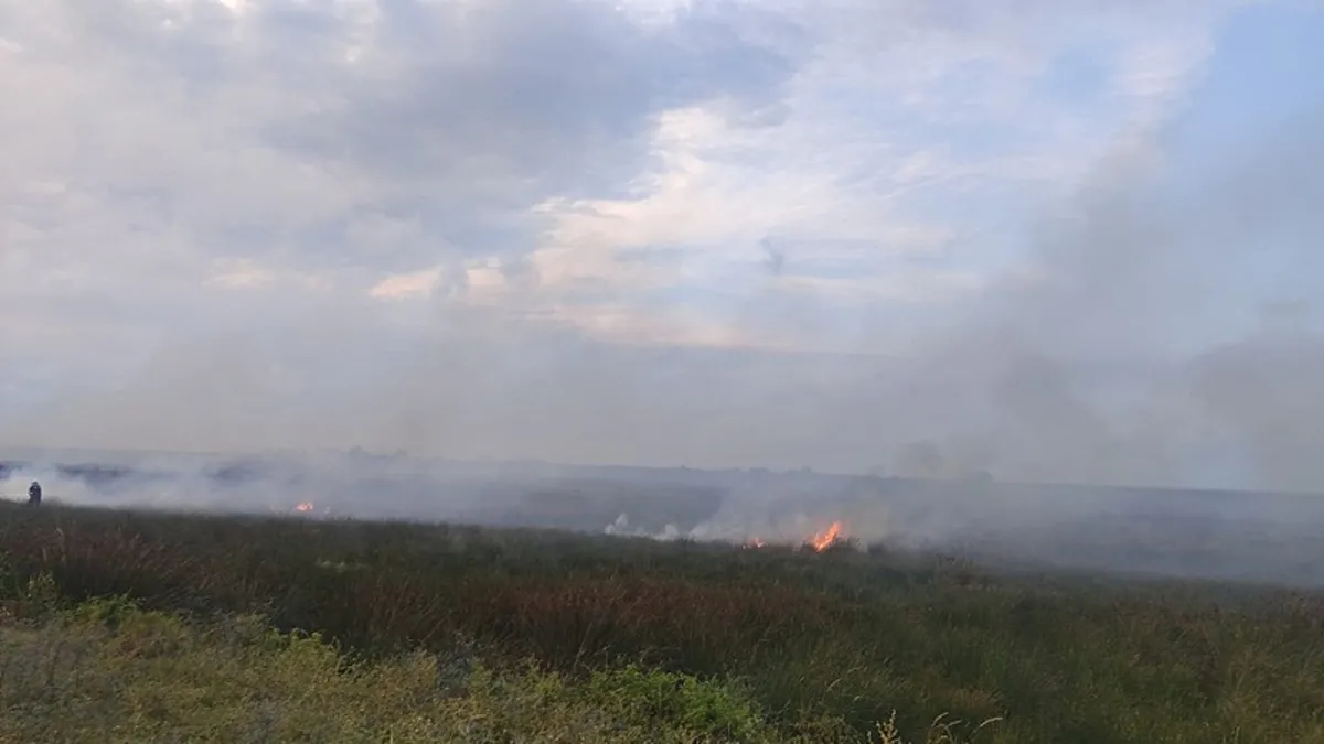 Samsun'da çıkan yangında 100 dekar tarım arazisi zarar gördü