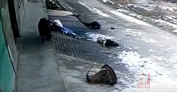 Bilecik’te 220 kiloluk dev domuz avcıya saldırdı! O anlar kamerada 17