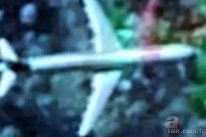 Google Maps’te ortaya çıktı! Avustralya’nın yağmur ormanlarından gelen görüntü kafaları karıştırdı 4