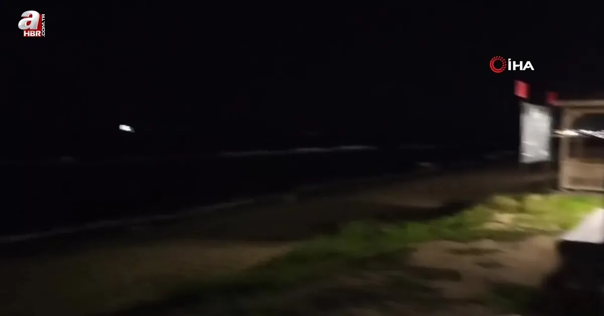 Tekirdağ sahilde tilki görüntülendi