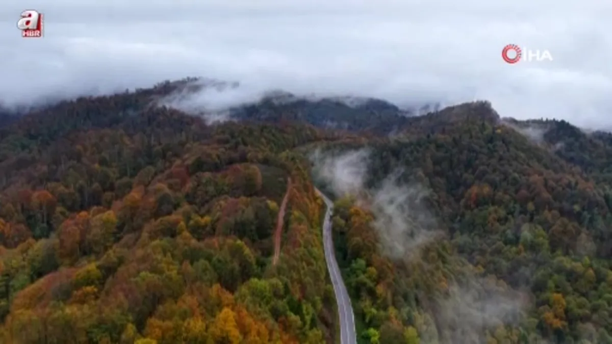 Film platosunu aratmayan manzara: Sisler altındaki Çam Dağı hayran bıraktı