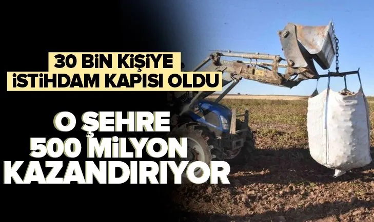 Bitlis’e 500 milyon lira kazandırıyor! 30 bin kişiye istihdam kapısı oldu