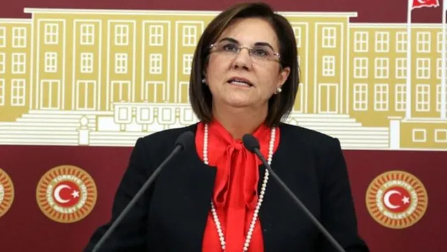 son-dakika-chpligaye-usluer-partisinden-istifa-etti-1620204728822.jpg Son dakika: CHP'li Gaye Usluer partisinden istifa etti - 3