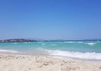 Ünlü profesör Ferit Hakan Öner'in cansız bedenini suyun üzerinde buldular!