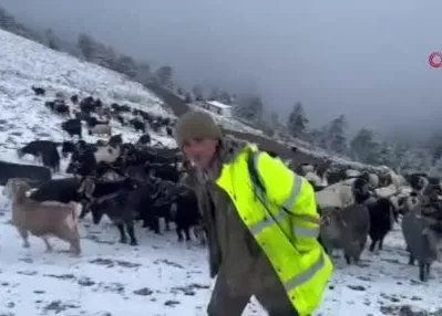 Giresun yaylalarında çobanların zorlu dönüş yolculuğu