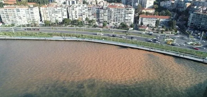 Su borusu patlayınca İzmir Körfezi bu hale geldi