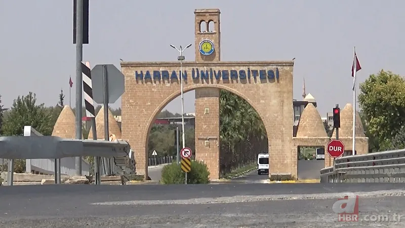 Köpekler koruma altındaki ceylanları parçalayarak yedi 1