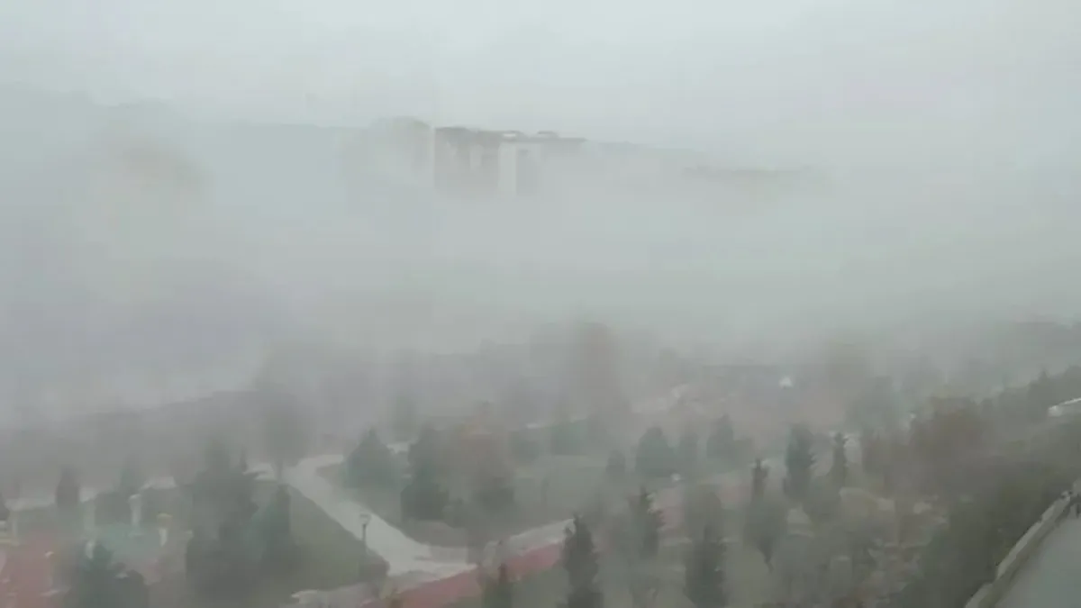 Karaman'da sis etkili oldu