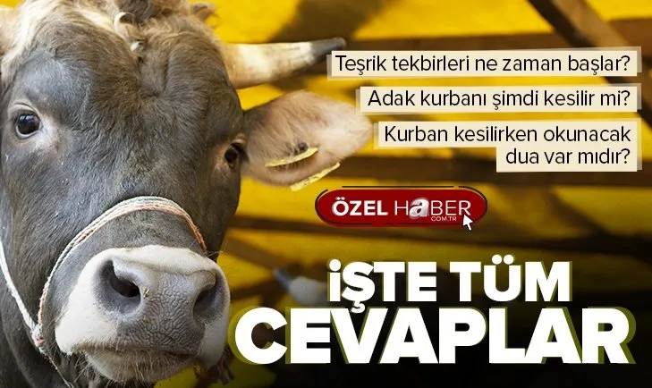Kurban kesilirken okunacak dua| Teşrik tekbirleri ne zaman getirilir?
