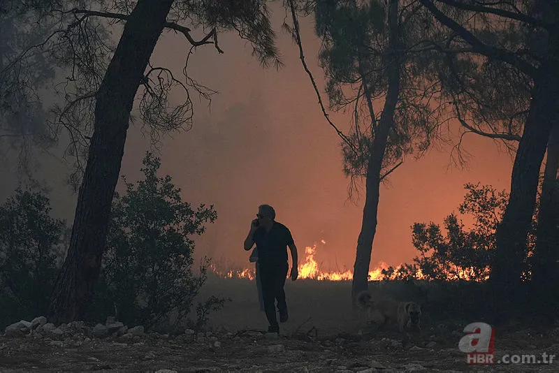 İzmir'de korkutan orman yangını 2. gününde! Bakan Yumaklı'dan güzel haber: Tamamen kontrol altında 19