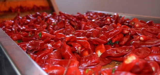 Acı yemek metabolizmayı hızlandırıyor!