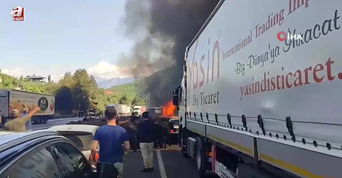 Büyükbaş hayvan yüklü TIR alev alev yandı