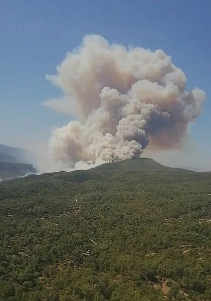 Son dakika: Muğla Milas'ta orman yangını - 1