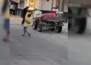 Adanada tepki çeken olay: Yorulan atına yumruklar savurdu