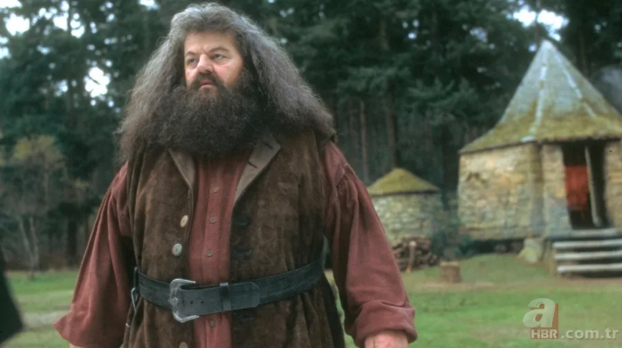 Harry Potter'ın yıldızı hayatını kaybetti 5