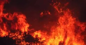 Eskişehir’de kereste deposunda yangın!