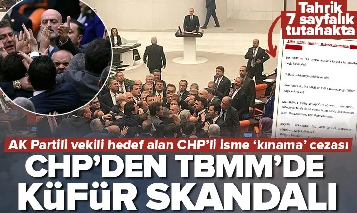 AK Partili Kılıç’a küfreden CHP’li vekile ceza