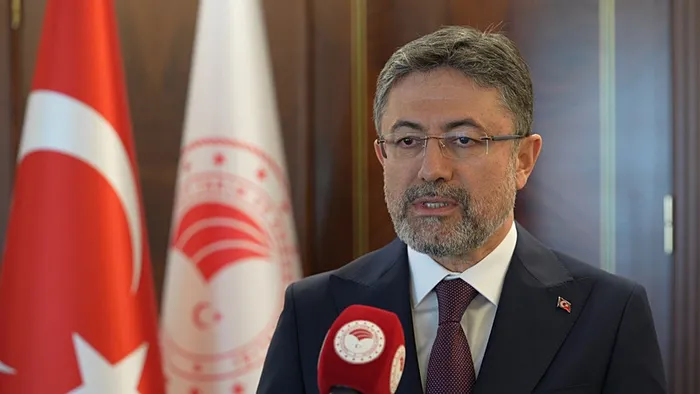 İşte 10 soruda sahipsiz hayvan düzenlemesi! Nereye götürülecekler? Ötanazi uygulanacak mı?