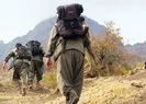 CHP’de PKK skandalı! Yakalanan terörist itiraf etti