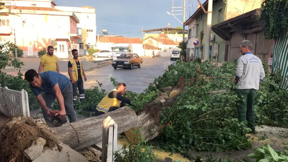 Aydın'da fırtına şehri yıkıp geçti!