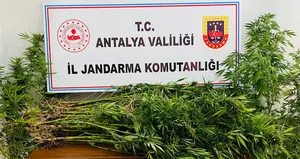 Kullanılmayan evden çıkanlar şoke etti