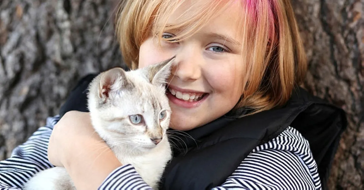 ruyada kedi gormek ne anlama geliyor kedi gormek ruya tabirleri