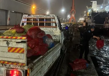 Kaçak avlanan 2 ton midye yeniden denize bırakıldı