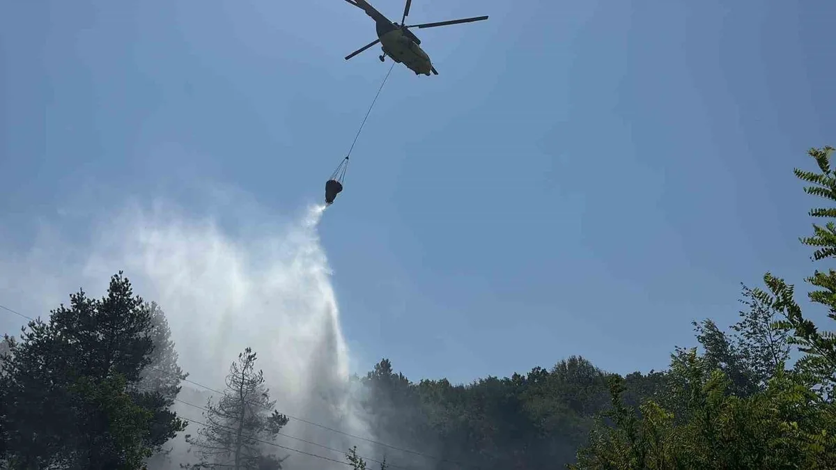 Bolu'da ormanlık alanda çıkan yangın söndürüldü