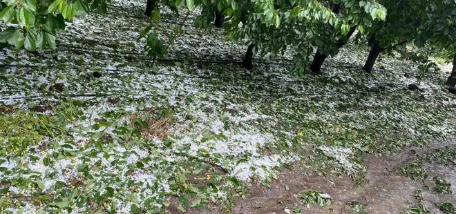 Iğdır’da dolu ve sel nedeniyle 10 bin dekar tarım arazisi zarar gördü