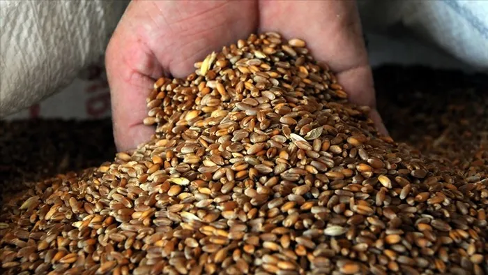 son-dakika-tarim-ve-orman-bakanligindan-flas-ekmek-ve-bugday-aciklamasi-1654101641421.jpg Son dakika: Tarım ve Orman Bakanlığından flaş "ekmek ve buğday" açıklaması - 1