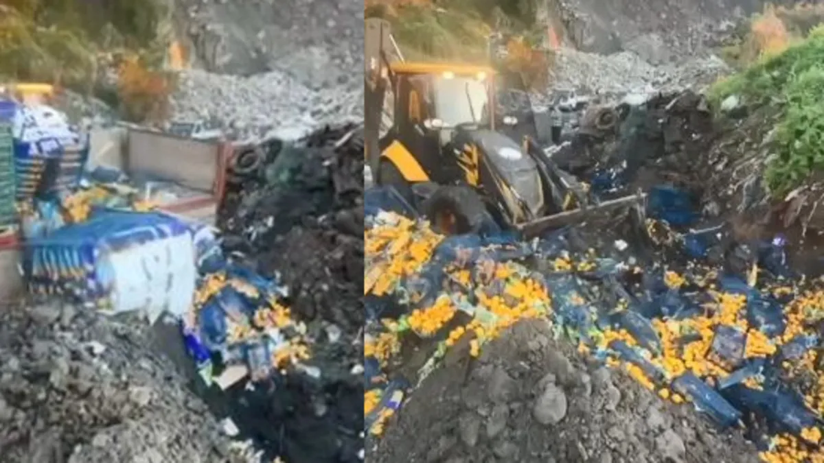 Zirai ilaç kalıntısı tespit edildi! 6,1 ton mandalina imha edildi