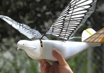 Yeni nesil robot kuşlar göreve başladı