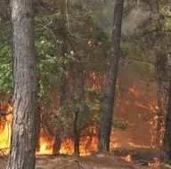 Manavgat, Marmaris, Fethiye... Türkiye’de yangın kabusu! İşte yangınlarla ilgili son gelişmeler...