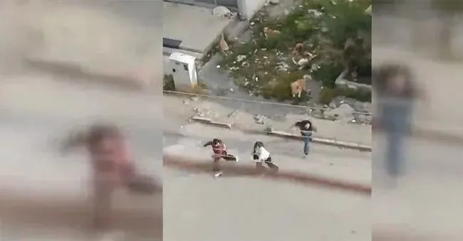 1716728736095.jpeg Başıboş köpekler öğrencilere saldırdı! Hatay'da korku dolu anlar kamerada - 2