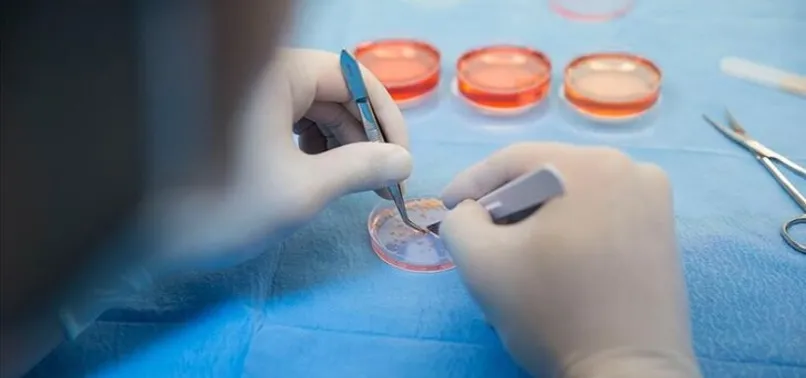 İngiltere varyantıyla ilgili son çalışmanın sonuçları belli oldu