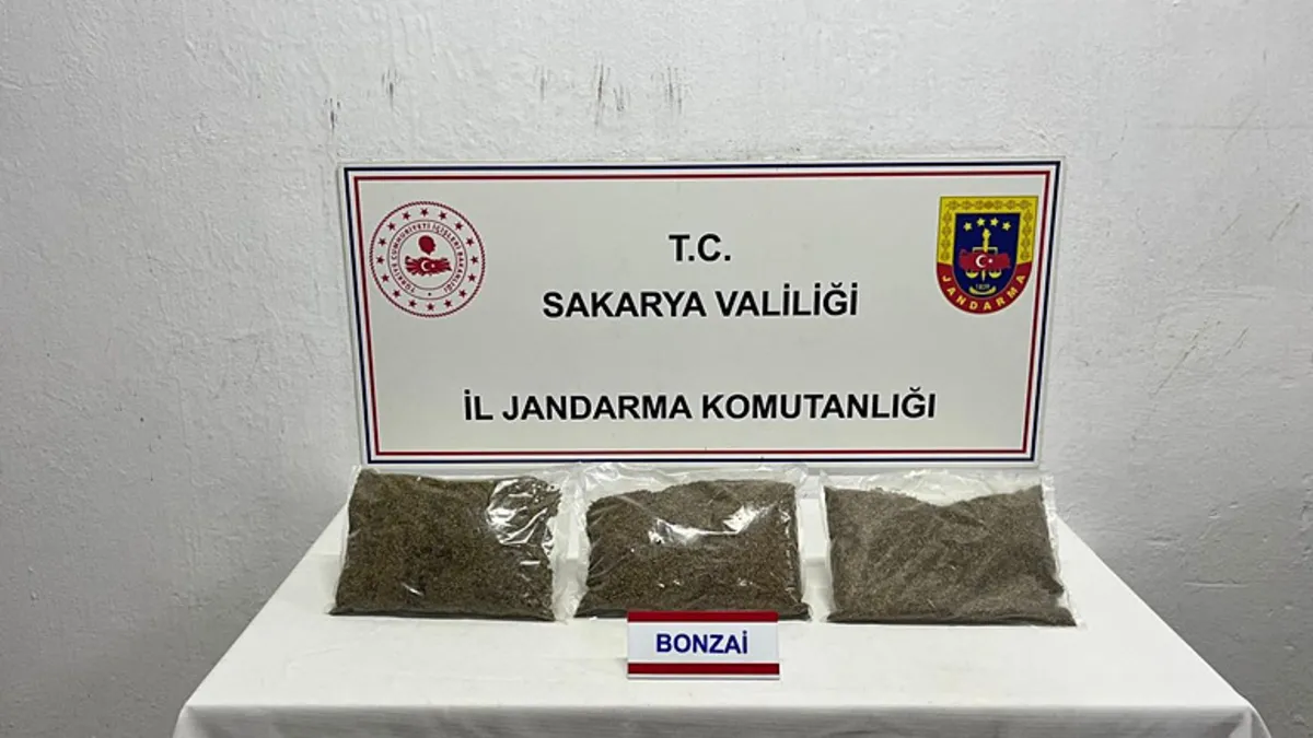 Sakarya'da bir evde 2,5 kilo bonzai bulundu