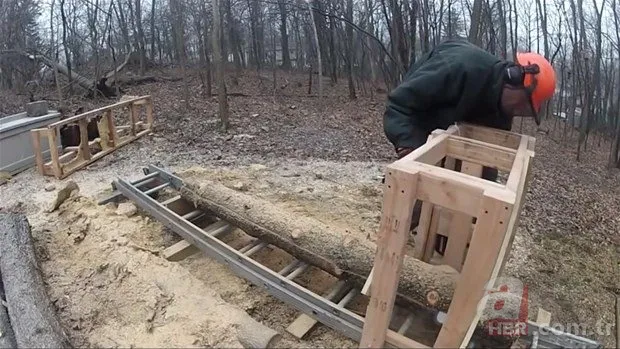 Ağaçlar onun elinde şekilleniyor! Şimşir ağaçlarından... 25