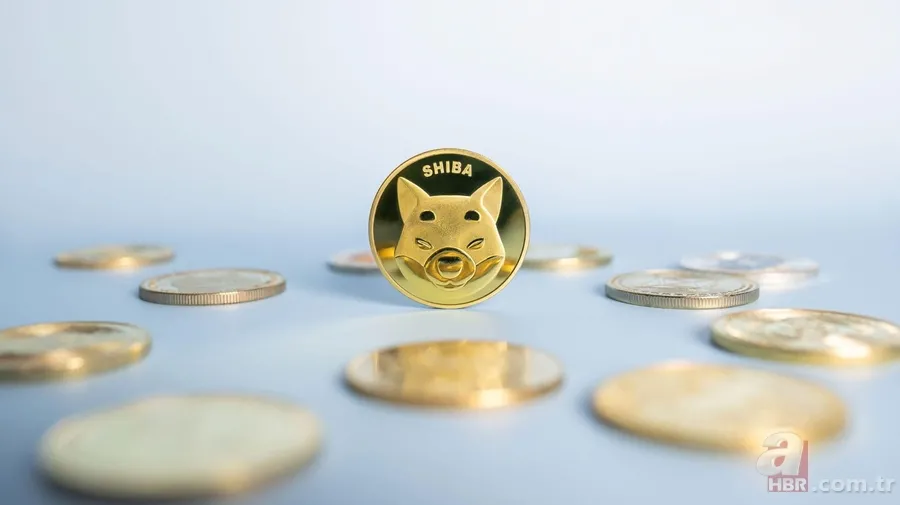 Shiba coine yeni tokenlerin etkisi... Shiba coin yakımı ne zaman? Shiba coin düşecek mi, artacak mı? 2