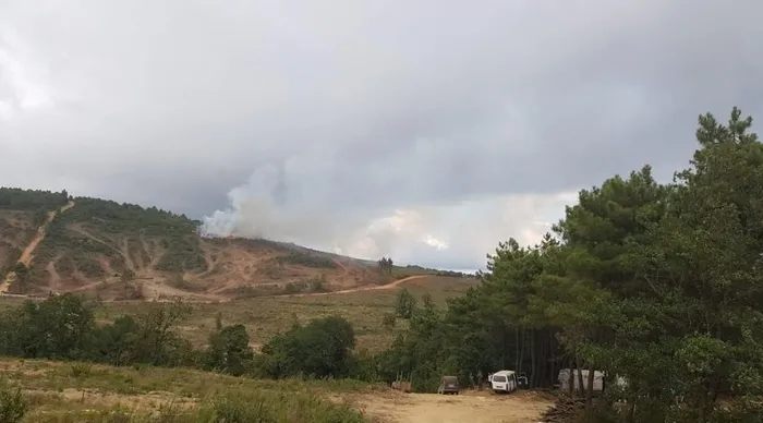 İstanbul Pendik'te orman yangını - 1