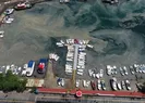 Deniz salyası ne zaman bitecek?