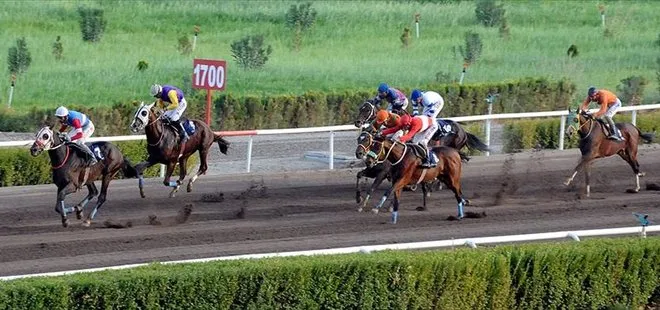 At yarışları iptal mi? 25 Aralık Adana İstanbul at yarışları neden başlamadı?