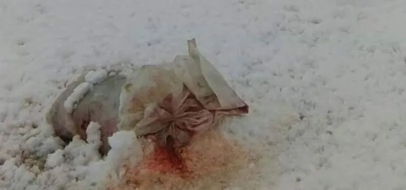 Srebrenitsa Da Cirkin Saldiri A Haber Son Dakika Gundem Haberleri