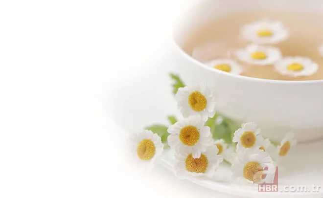Adaçayı... Ihlamur... Kuşburnu... Hepsi doğal şifa deposu! Hangi bitki çayı neye iyi geliyor? İşte yanıtı... 16