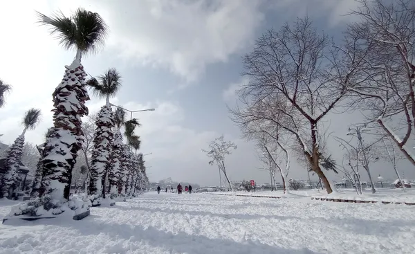 meteorolojiden-38-il-icin-sari-ve-turuncu-kodlu-uyari-istanbulda-kar-yagisi-devam-edecek-mi-yeni-haftada-hava-1647754458100.jpg Meteoroloji'den 38 il için sarı ve turuncu kodlu uyarı! İstanbul'da kar yağışı devam edecek mi? Yeni haftada hava nasıl olacak? - 6