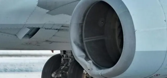 Dünya tarihinde bir ilk: Uçak iniş esnasında bozayıya çarptı