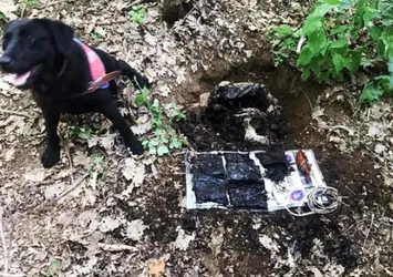 Muş'ta PKK'ya ait 60 kilogram el yapımı patlayıcı ele geçirildi! Bayram öncesi katliam hazırlığı önlendi