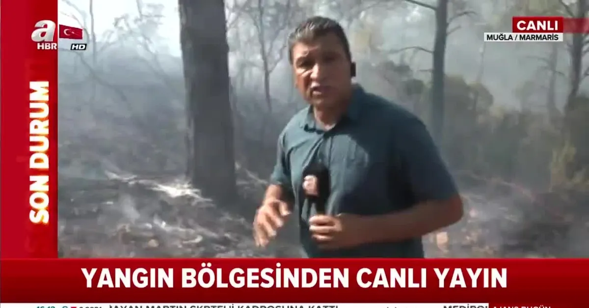 Muğla Marmaris'te orman yangını | Video